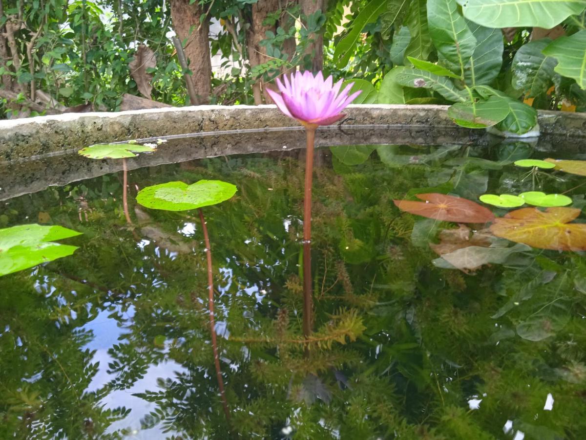 דיקוולה Green Garden Hiriketiya מראה חיצוני תמונה